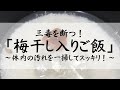 三毒を断つ！「梅干し入りご飯｣～体内の汚れを一掃してスッキリ！～