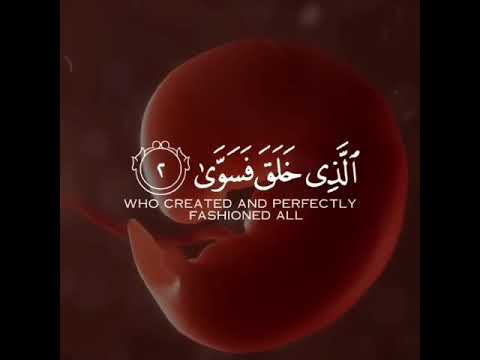 عبدالرحمن مسعد سورة الاعلى صوت جميل