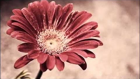 سورة ق مشاري راشد العفاسي 1421 هـ تلاوة نادرة