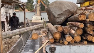 Extreme Wood Chip Moment You’ve Never Seen Before.