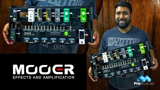 eventide rose delay pedal | Modulated Effects Year_2023_Make_Ford_Model_Transit Connect_Engine_2.0L Gas Light:Olight PL-Turbo 25 presets in 5 Fahrradkorb aus Weide vorne
