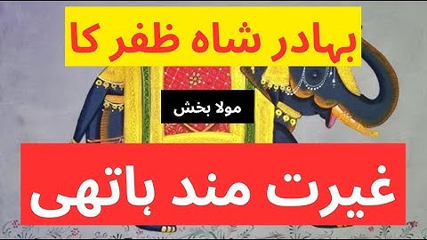 bahadur shah zafar elephant l Mughal King Elephant🐘l بہادر شاہ ظفر کا غیرت مند ہاتھی l SM Voice