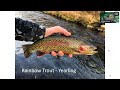 207 Southeast Minnesota trout fishing 20250409