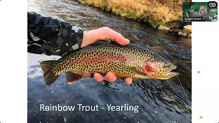 207 Southeast Minnesota trout fishing 20250409