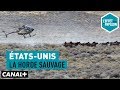 États-Unis : La horde sauvage - L’Effet Papillon