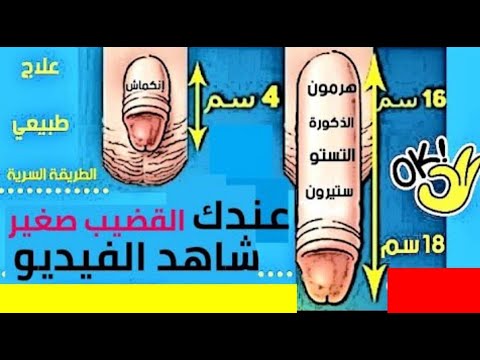 سبب صغر وانكماش العضو الذكرى وتحوله ل ى ى م