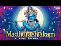 Adharam Madhuram Lofi - Krishna Bhajan | Bhakti Song | Bhajan Song | Madhurashtakam
