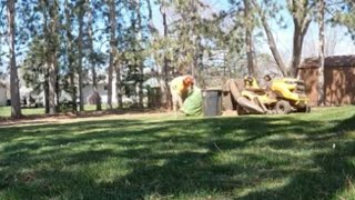 Spring Clean-Up - Collecting Pine Needles, Leaves, & Sticks