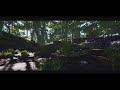 Jungle 1 Time to share some work.