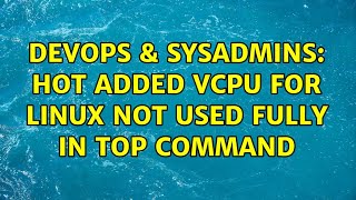 Famous DevOps & SysAdmins: hot added vCPU for linux not used fully in top command Profile