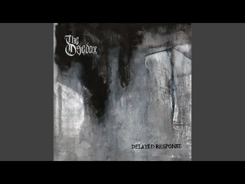 The Osedax — Reanamorata