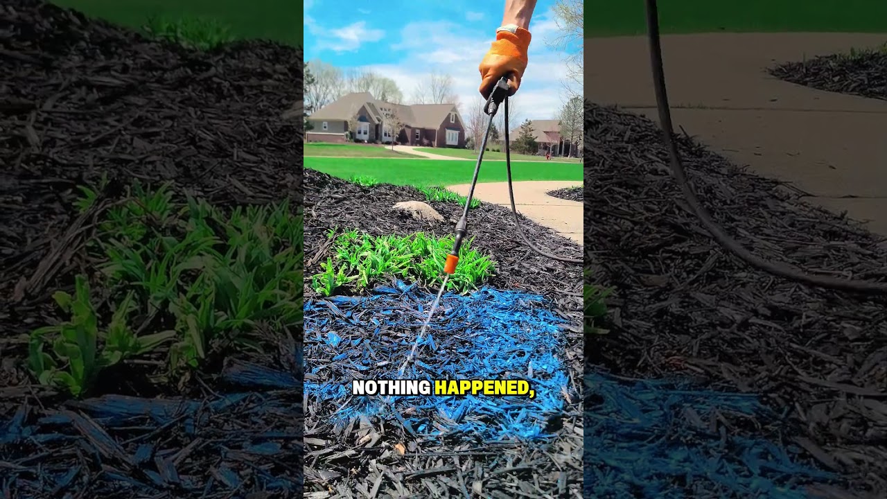 Я приклеил мульчу… Что произошло дальше?!