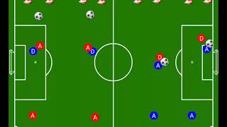 Famous 1v1 & 2v1 back to goal training Wealth