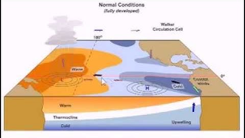 ENSO (El Nino and La Nina)