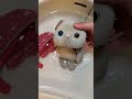 風呂キャン12カ月のにゃあを洗ってみた→本編は説明欄のリンクから #happy #ぬいぐるみ #ねこ