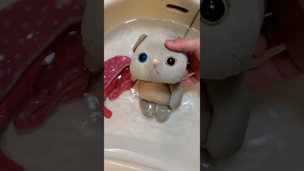 風呂キャン12カ月のにゃあを洗ってみた→本編は説明欄のリンクから #happy #ぬいぐるみ #ねこ