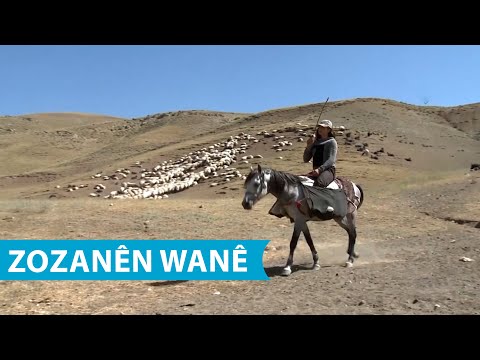 ZOZANÊN WANÊ