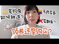 如何购买or 领养兔子的几个途径 | 接到健康兔兔的秘诀 | Breeder如何筛选 | MiauMall 购物开箱 -日本直邮开箱