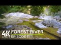 4K Forest River Ambience on a Sunny Summer Day | Nature ASMR for Stress Relief & Relaxation — Ep 11