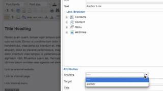 Working with links in your WYSIWYG Editor