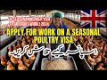 UK Seasonal Poultry Visa | UK Seasonal Work Visa 2024