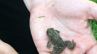 Nature Education With Metro Ep. 1 Earth Day At Oxbow Regional Park