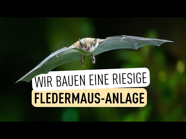 Neuigkeiten aus dem Regenwaldhaus! I Tiergarten Schnbrunn