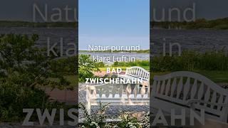 Natur pur erwartet euch in Bad Zwischenahn #ostfriesland #badzwischenahn #travel #urlaub