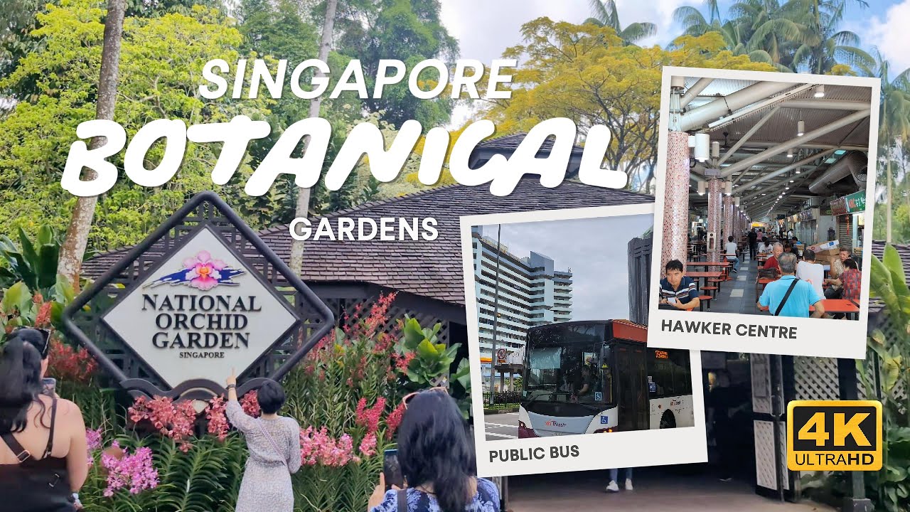 4K | Singapore Walk Tour: Botanic & Orchid Gardens, Public Bus, Hawker Centre