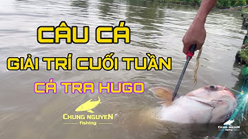 Câu Cá Giải Trí Cuối Tuần | Cá Tra Hugo | Chung Nguyễn Fishing