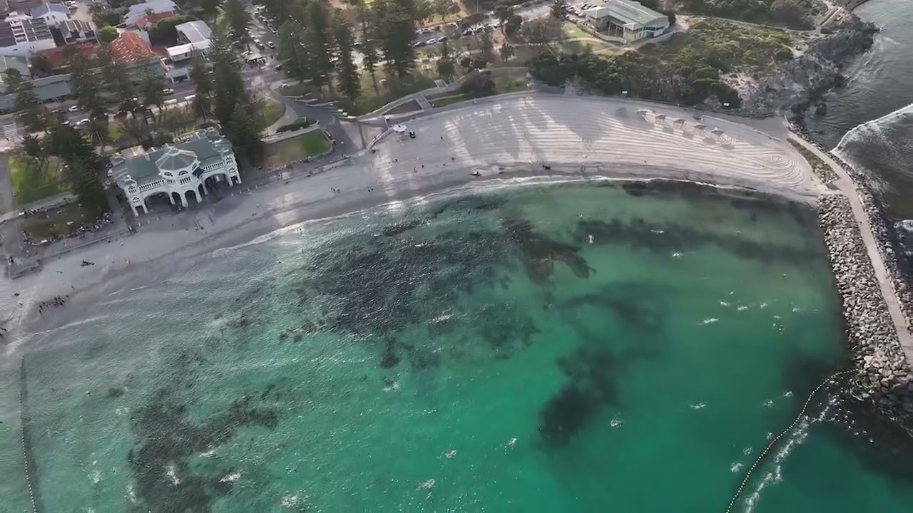 Pod Squad 2023 Flipper Friday Swim "pod"