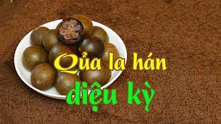 7 cong dung ky dieu cua qua la han KHOE TU NHIEN