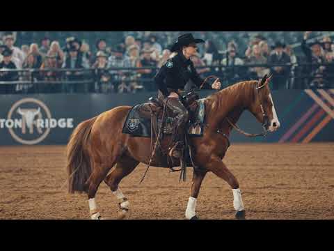 Choose Classic Equine