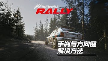Assetto Corsa Rally handbrake and cross button setting 神力科莎:拉力 方向键与手刹设置