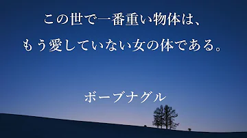 面白い名言