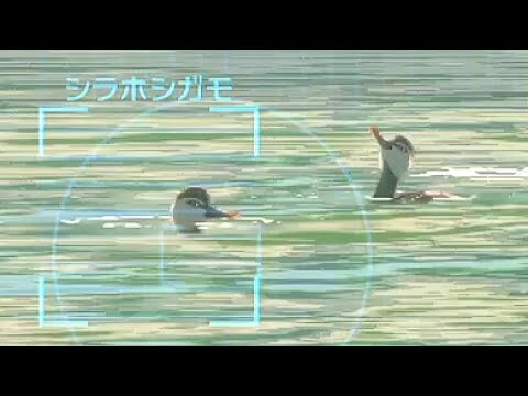 依頼を受けて、口笛を吹いてカモを沈めてみた
