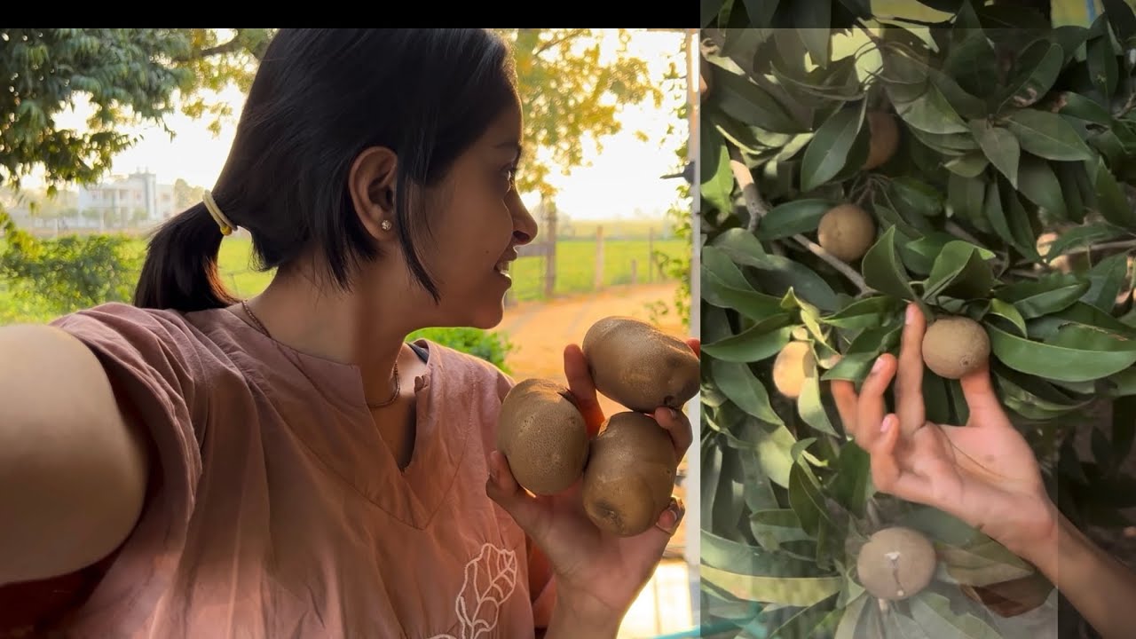 😍 Aalu Ki Kheti Dekho | Fruits Ke Ped Full Tour  #vlog