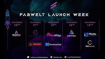 Hidden GEM Launchpad AnyPad IDO, FabWelt, goes LIVE tomorrow! Update on PulsePad & AAU NFT project!