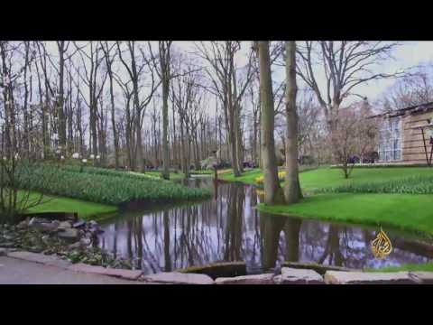 هذا الصباح-معرض كوكنهوف.. روعة أزهار الربيع بهولندا