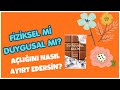 Aç Değilsin… Ama Neden Yiyorsun? Duygusal Açlık Gerçeği