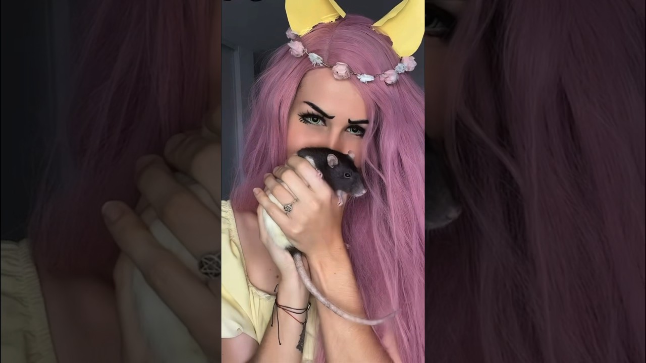 Rest in peace my little Lisa…. 💔