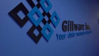 A Day at Gillware