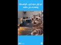13.mp4