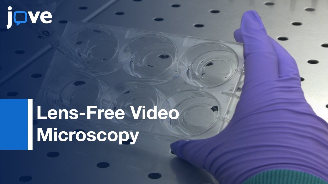 Lens-Free Video Microscopy: Analysis Of Adherent Cell Culture