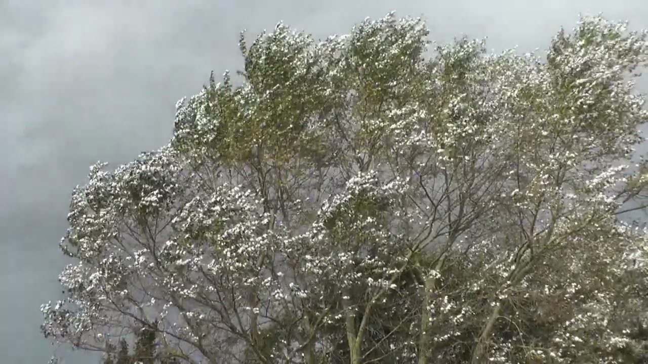 Here you’ll find diverse content to enjoy anytime