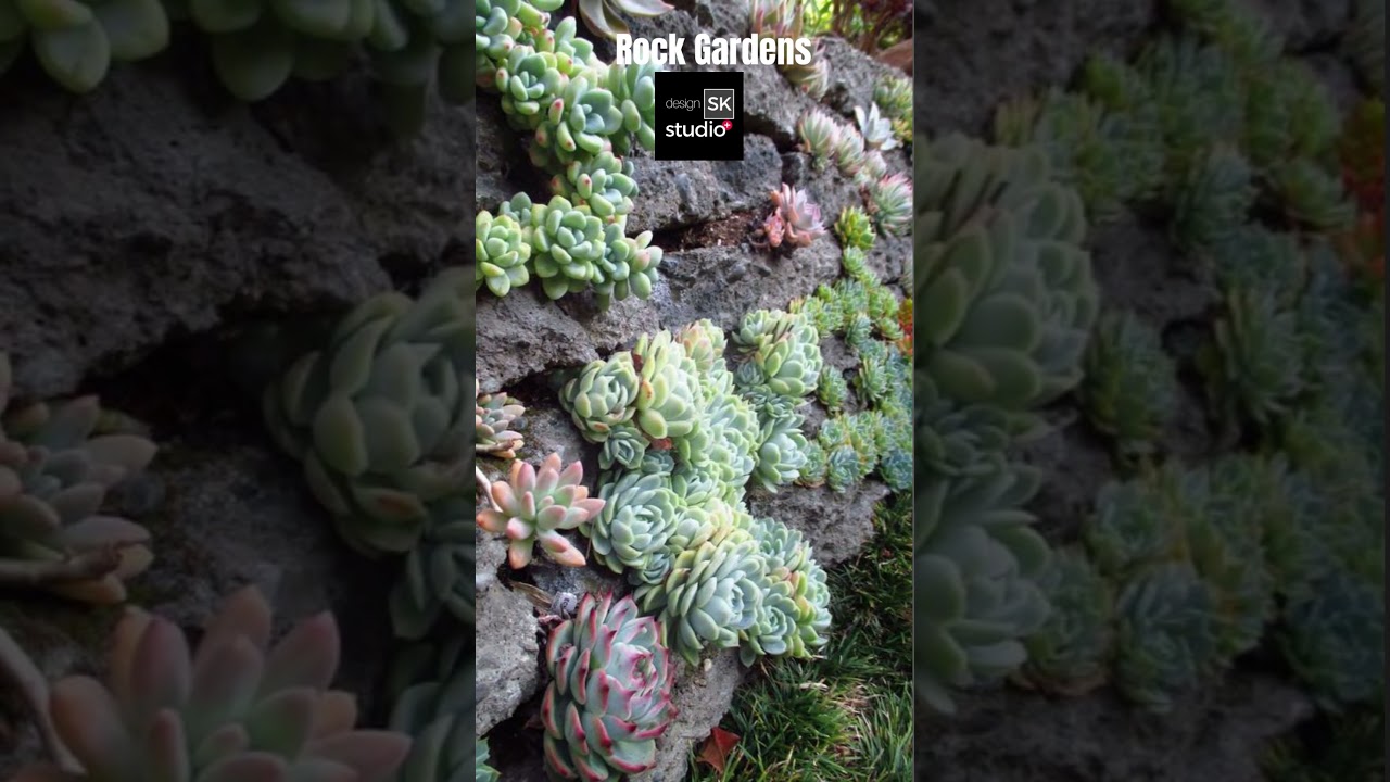 Small Rock Gardens on a Budget 05 