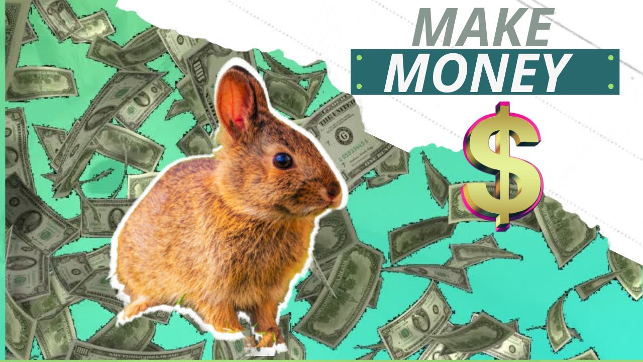 Raise rabbits for money YouTube