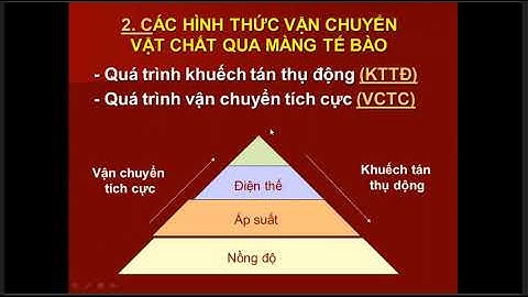 Sự vận chuyển các chất qua màng tế bào có sự tiêu tốn năng lượng gọi là gì