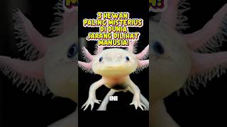Hewan paling misterius, jarang dilihat manusia #animal #faktahewan #wildlife #shorts