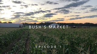 On the Road with digitalAIM Media - Episode 1 - Bush's Market